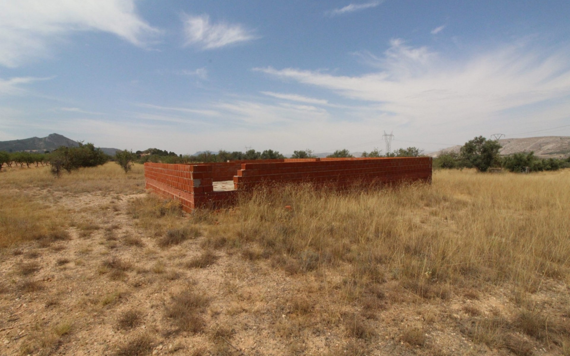 A Vendre - Terre - Biar - Biar Centro