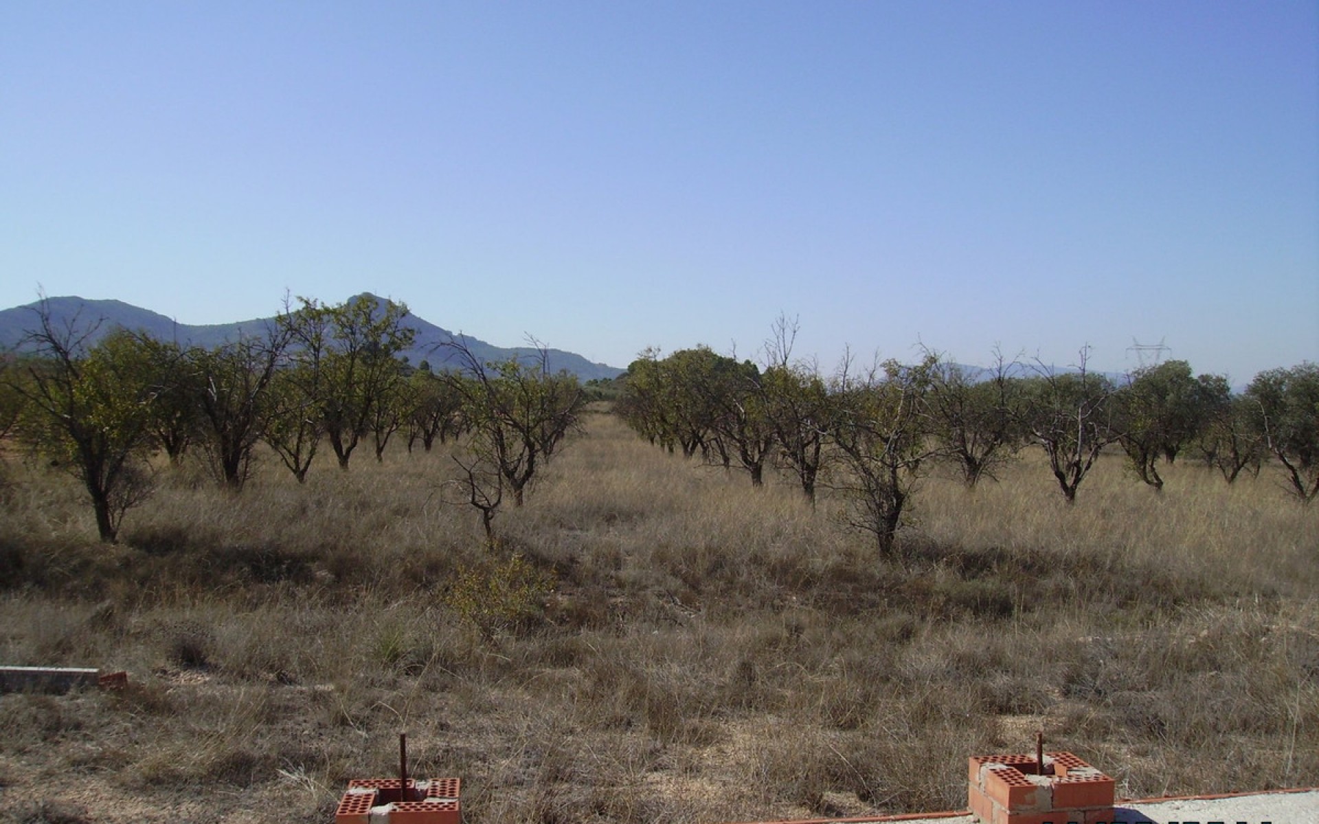 A Vendre - Terre - Biar - Biar Centro