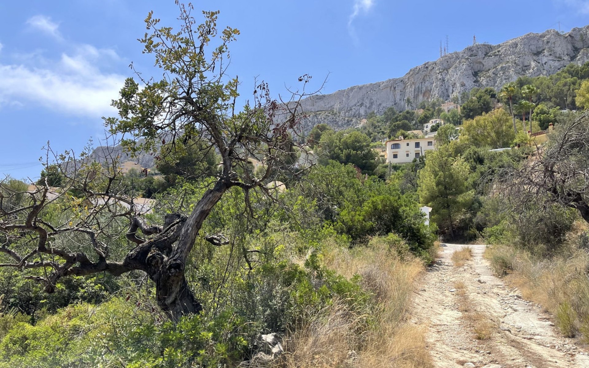 A Vendre - Terre - Calpe - Calpe Centro