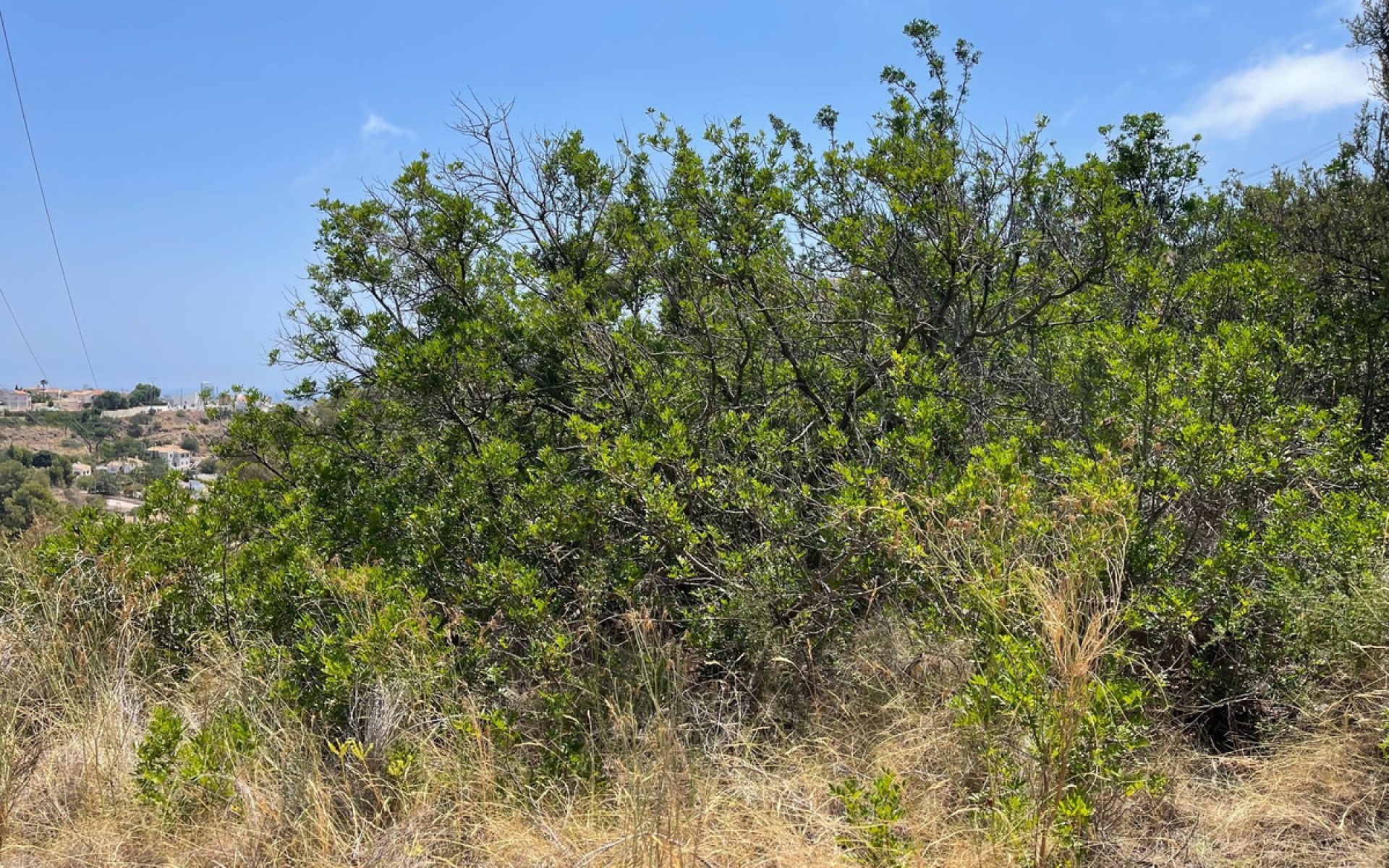 A Vendre - Terre - Calpe - Calpe Centro