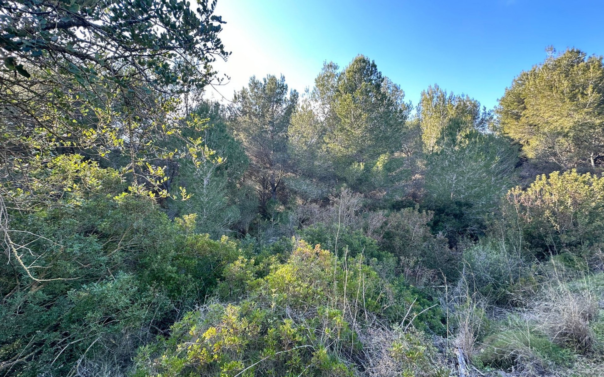 A Vendre - Terre - Calpe - Calpe Centro