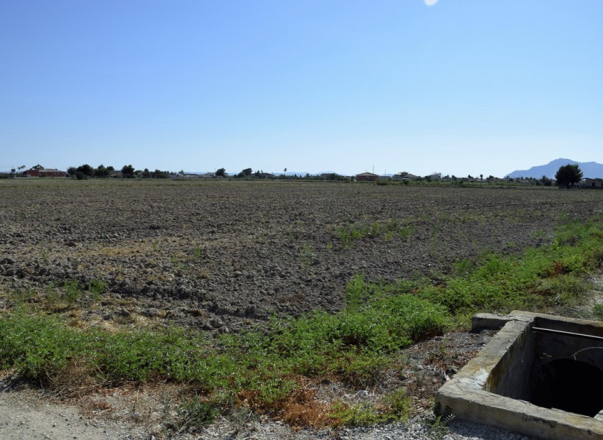 A Vendre - Terre - Catral - Catral Centro