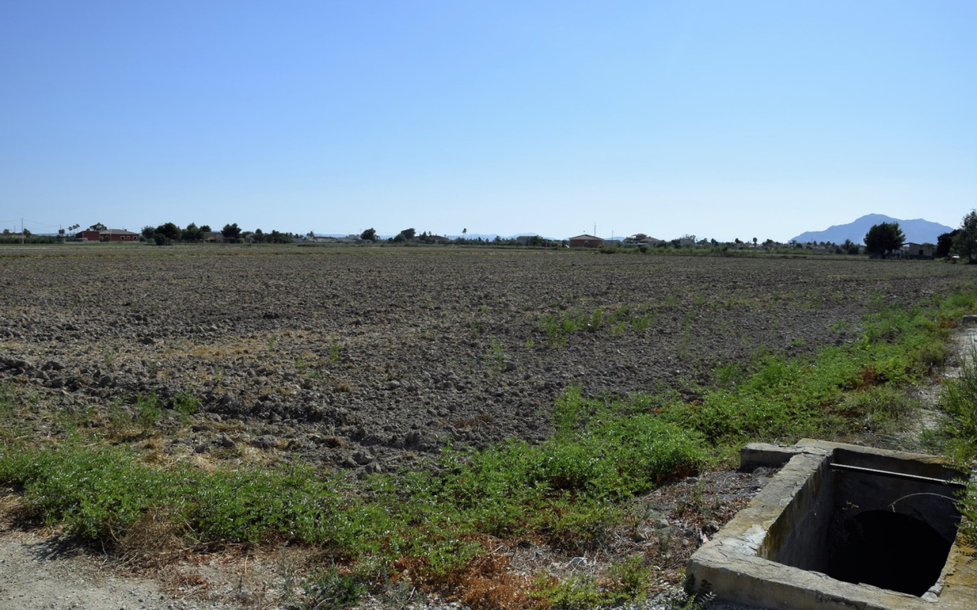 A Vendre - Terre - Catral - Catral Centro