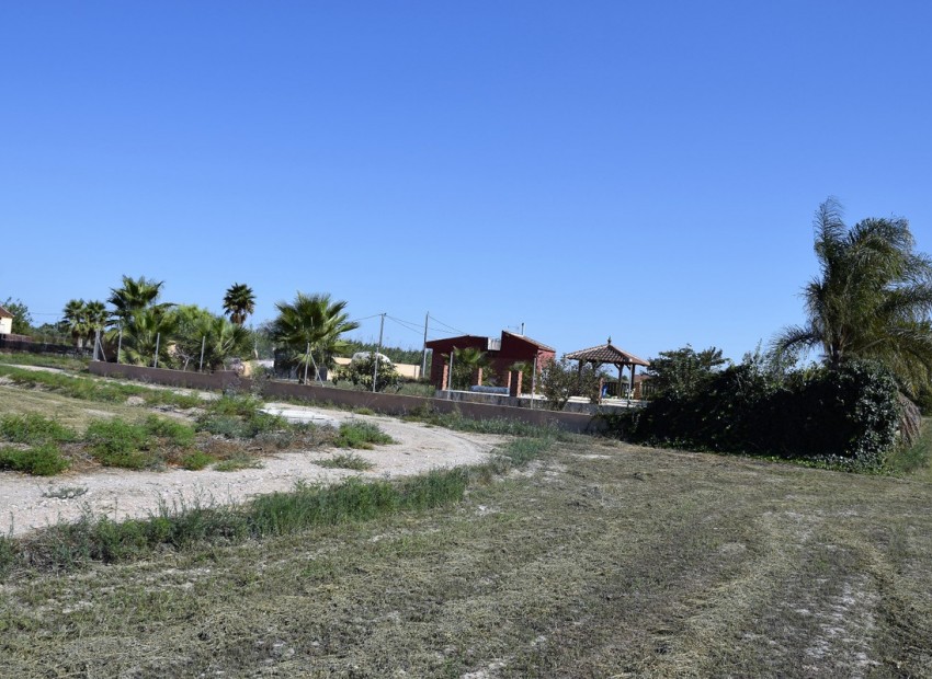 A Vendre - Terre - Catral - Catral Centro