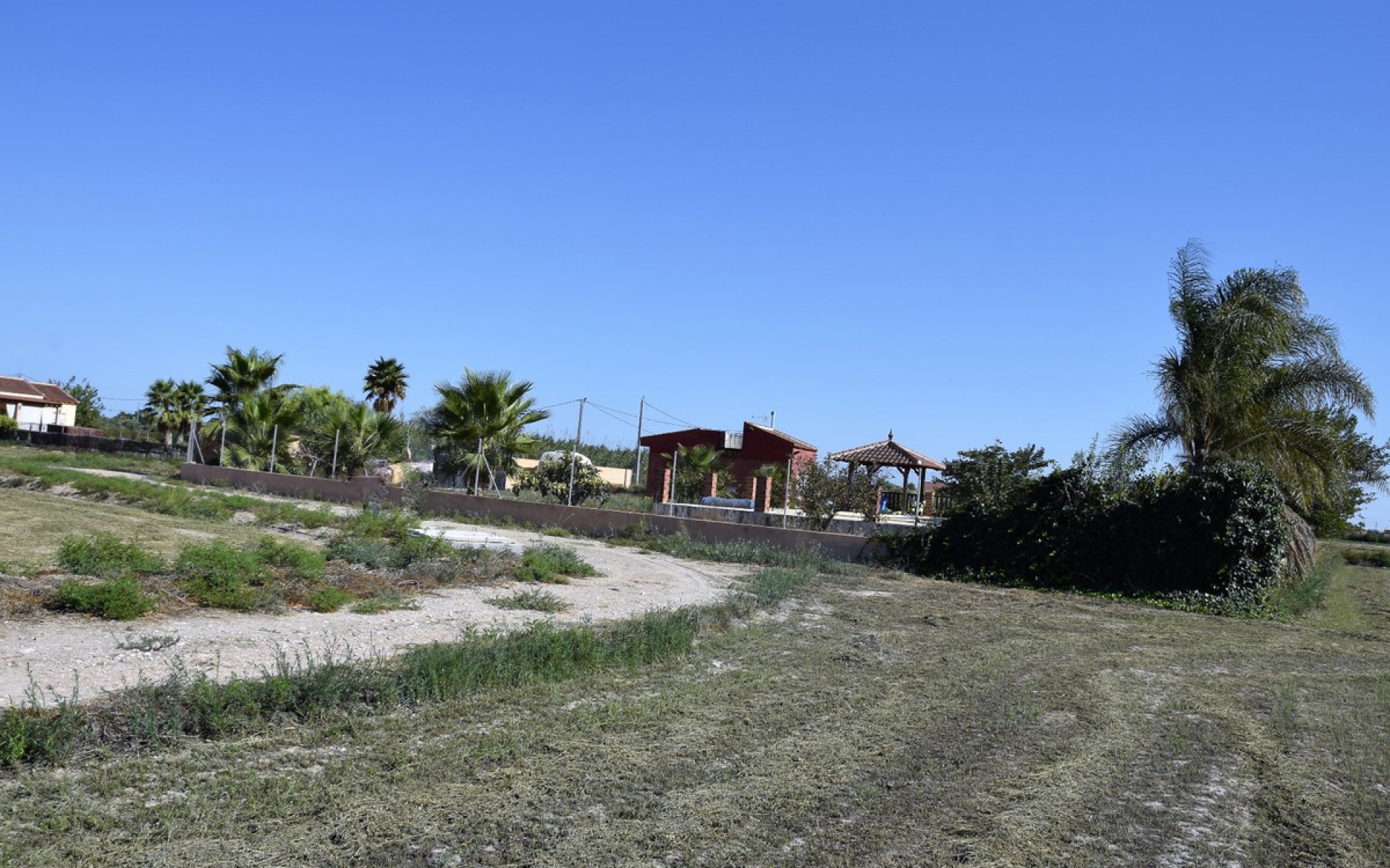 A Vendre - Terre - Catral - Catral Centro