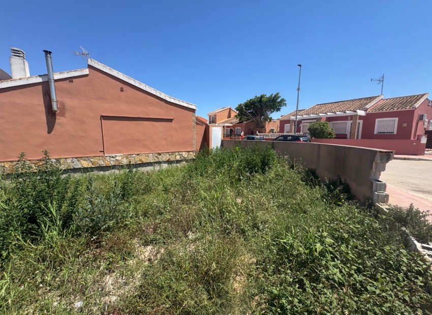 A Vendre - Terre - Daya Nueva