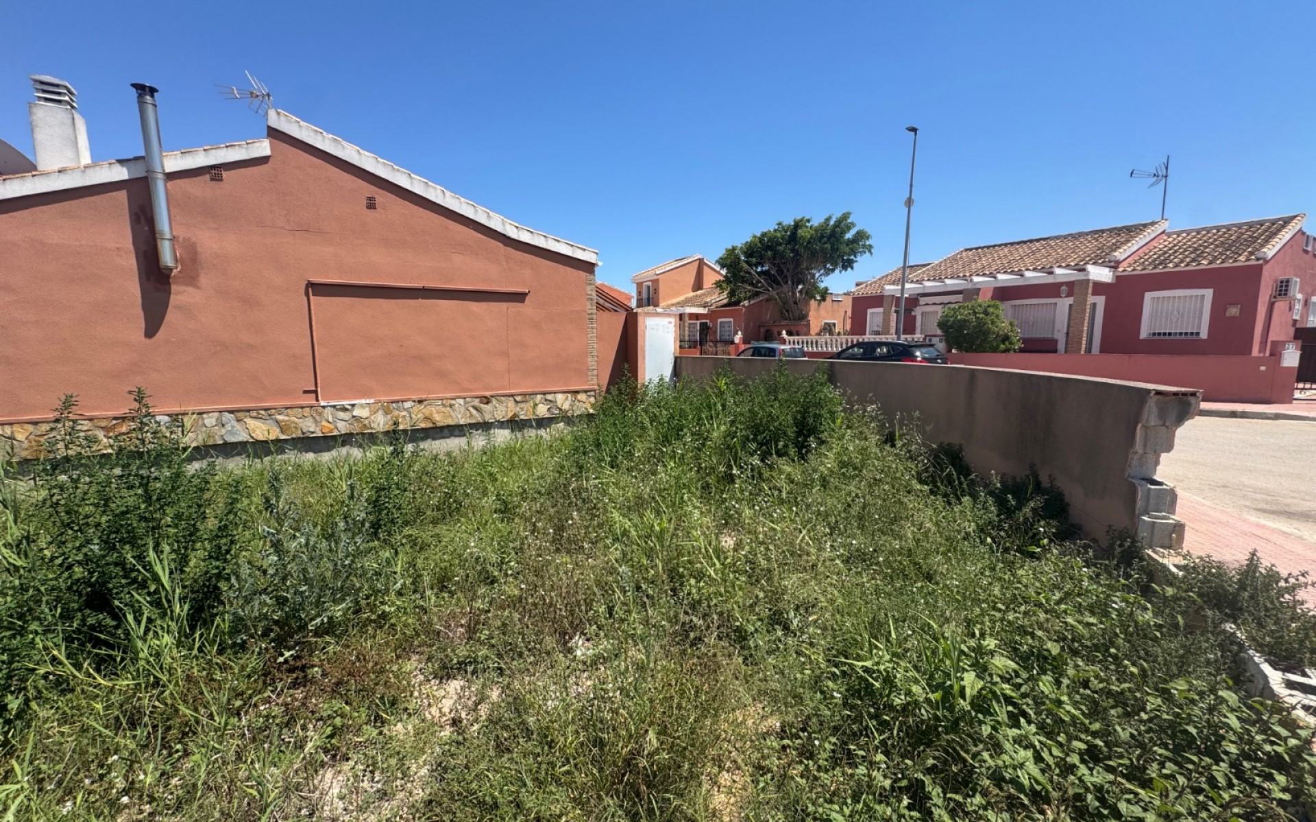 A Vendre - Terre - Daya Nueva