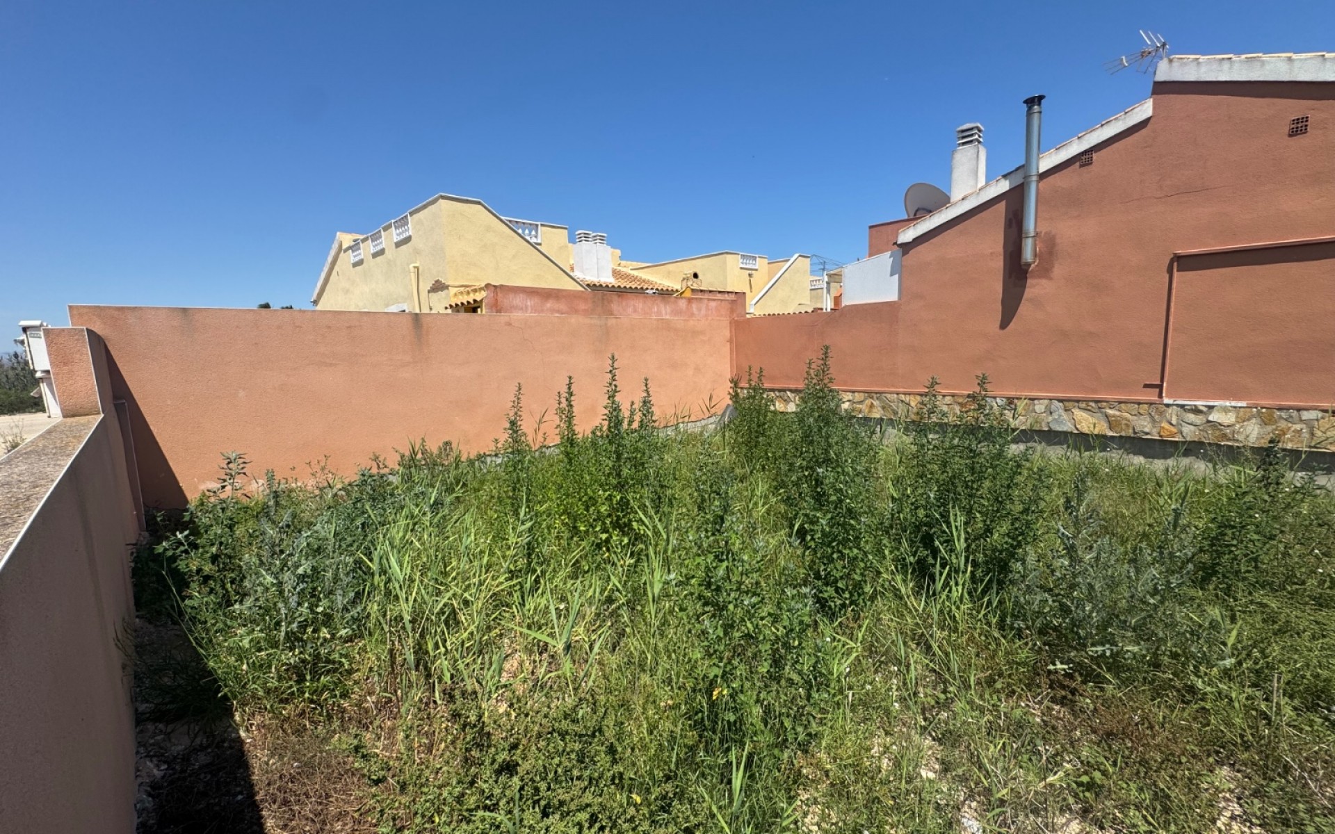 A Vendre - Terre - Daya Nueva