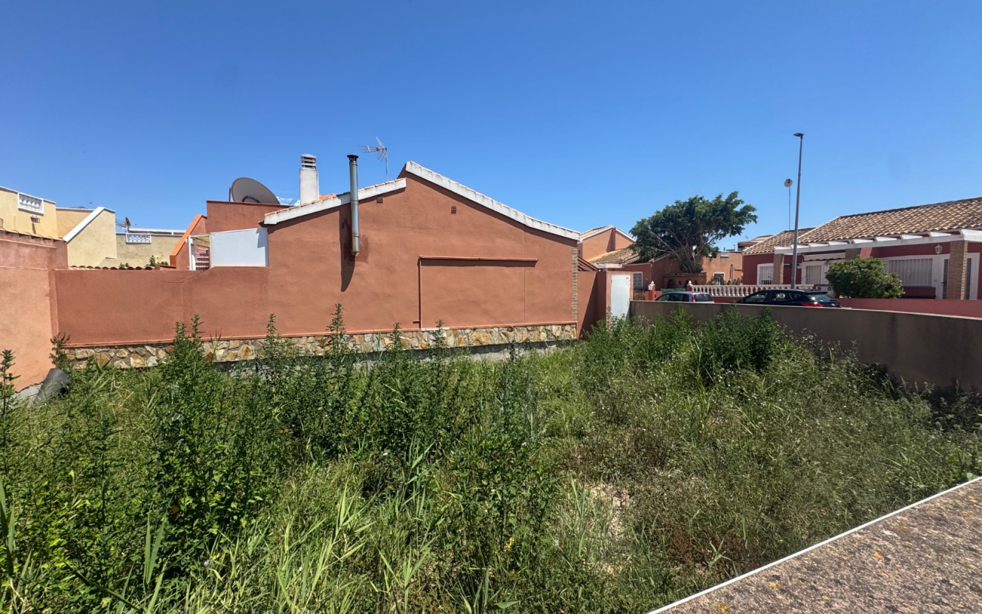 A Vendre - Terre - Daya Nueva