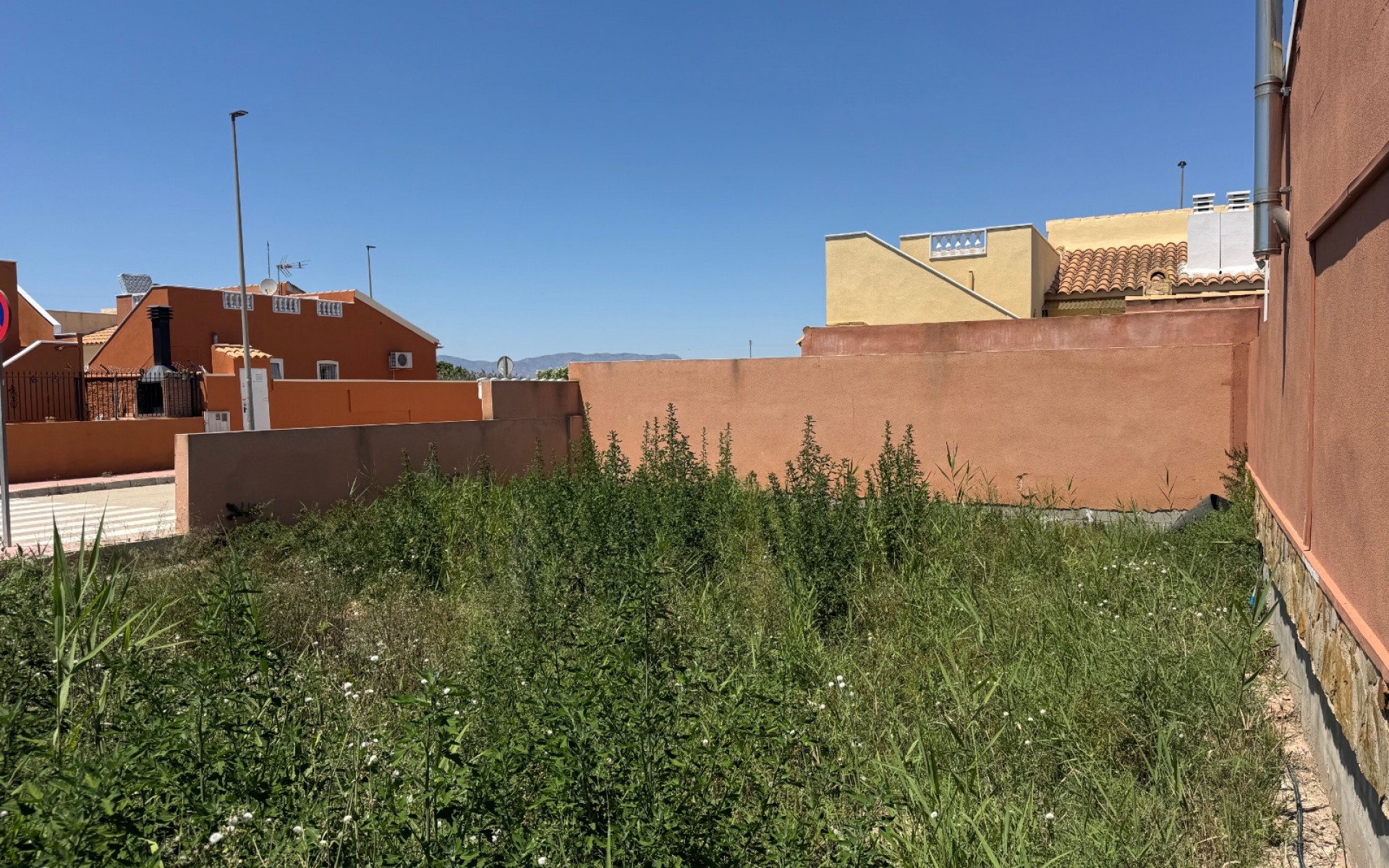 A Vendre - Terre - Daya Nueva