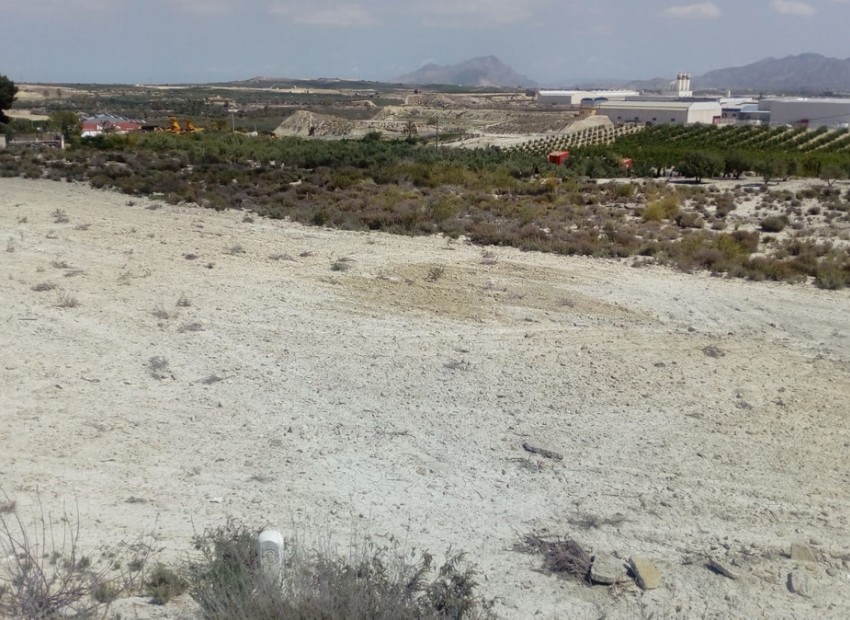 A Vendre - Terre - Fortuna - Fortuna Centro