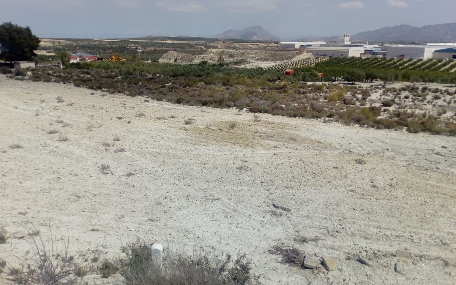 A Vendre - Terre - Fortuna - Fortuna Centro