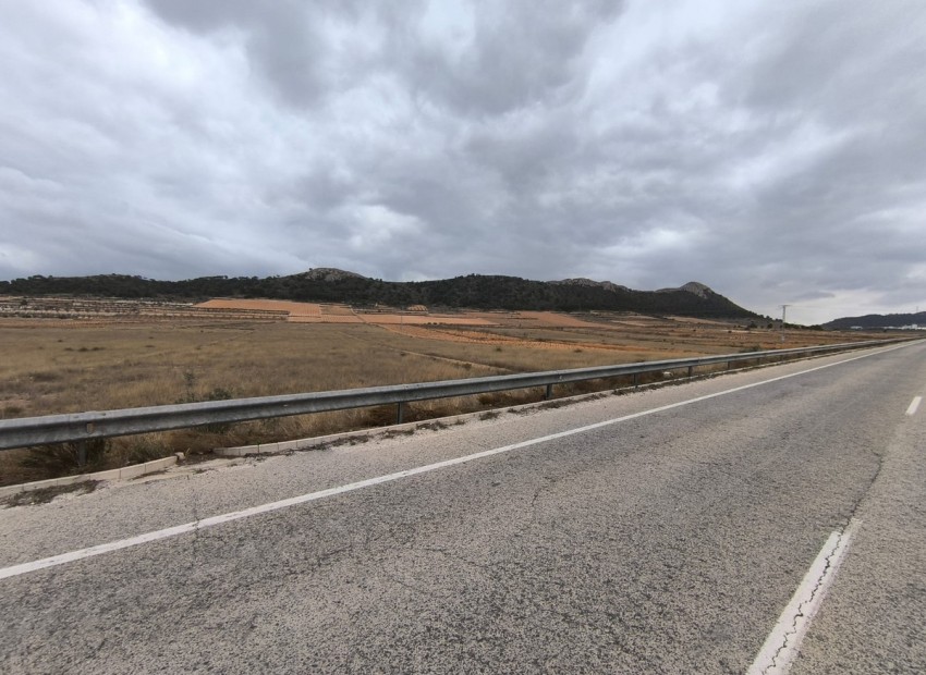 A Vendre - Terre - Jalon - La Solana