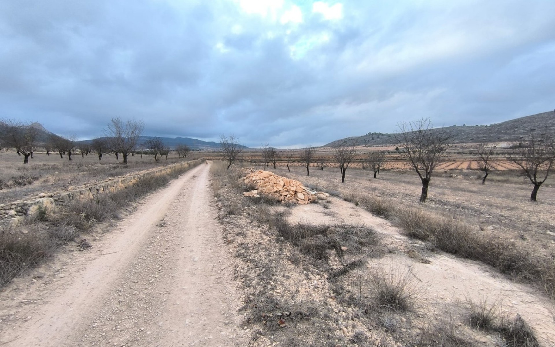 A Vendre - Terre - Jalon - La Solana