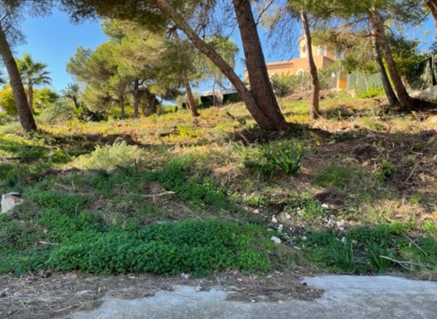 A Vendre - Terre - Jávea - Xàbia - Jávea - Xàbia Centro