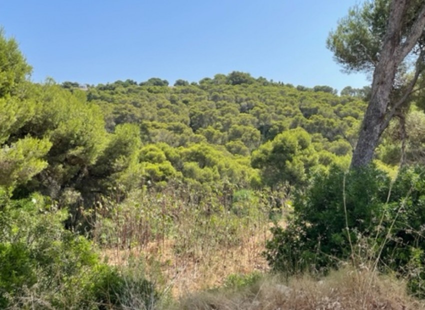 A Vendre - Terre - Jávea - Xàbia - Jávea - Xàbia Centro