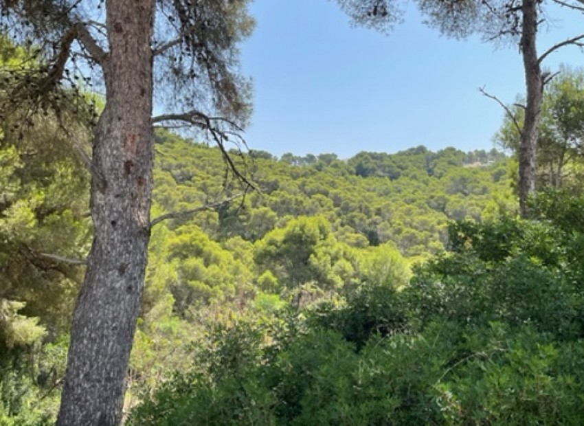 A Vendre - Terre - Jávea - Xàbia - Jávea - Xàbia Centro