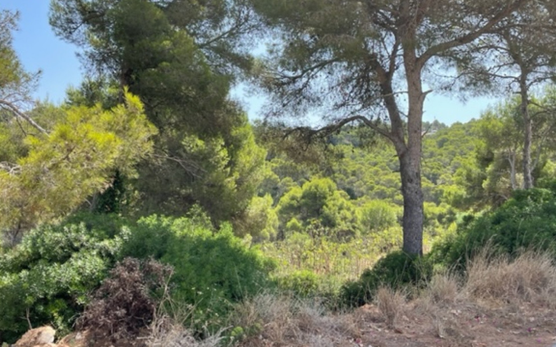 A Vendre - Terre - Jávea - Xàbia - Jávea - Xàbia Centro