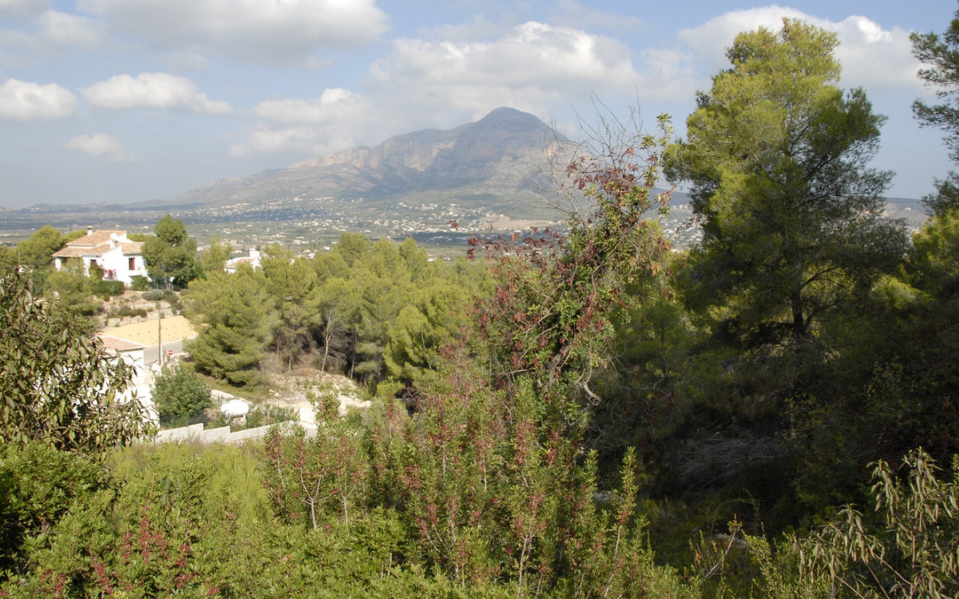 A Vendre - Terre - Jávea - Xàbia - Jávea - Xàbia Centro