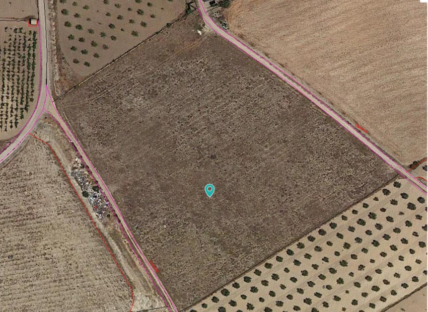 A Vendre - Terre - Jumilla - Cañada del Trigo