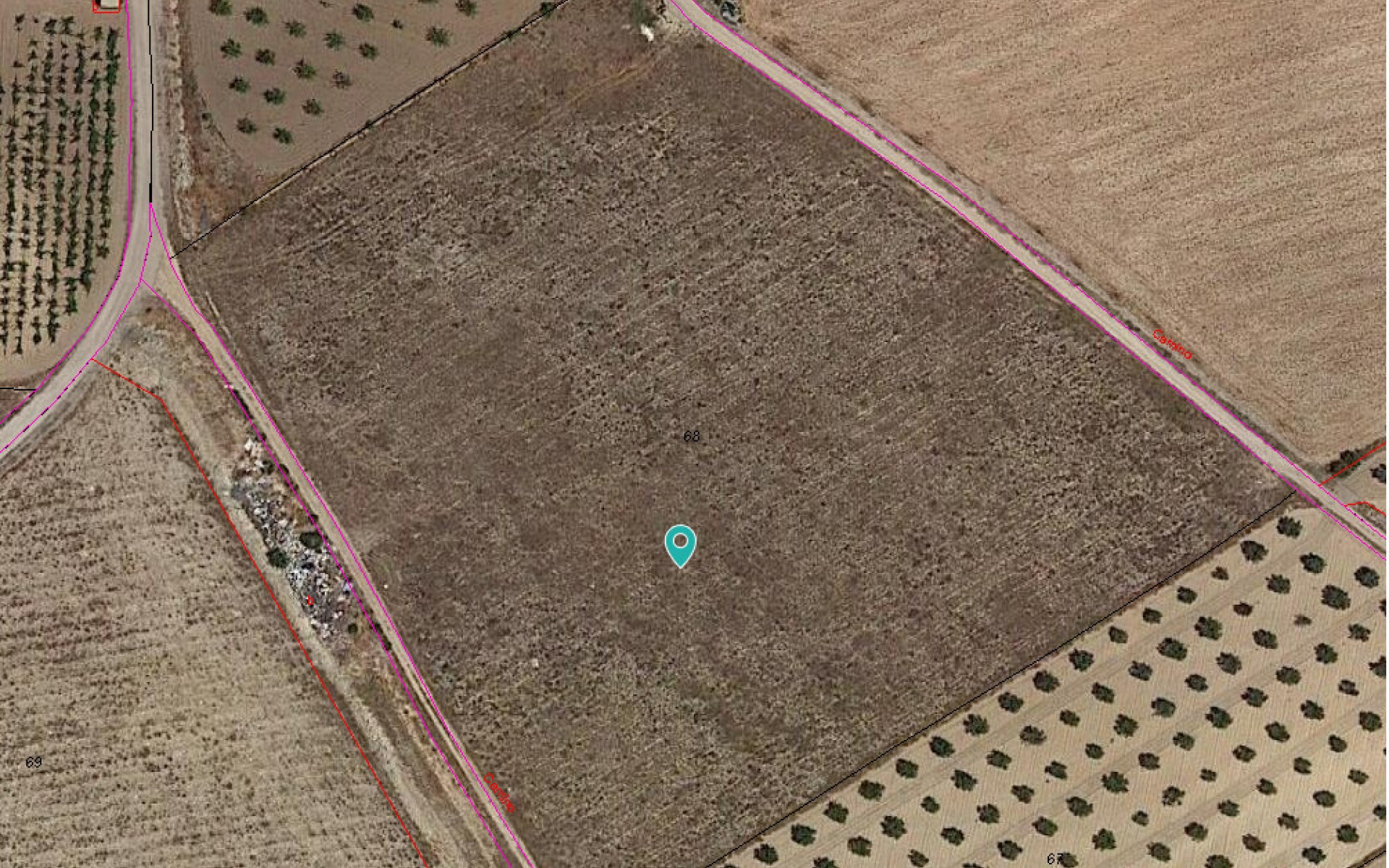 A Vendre - Terre - Jumilla - Cañada del Trigo