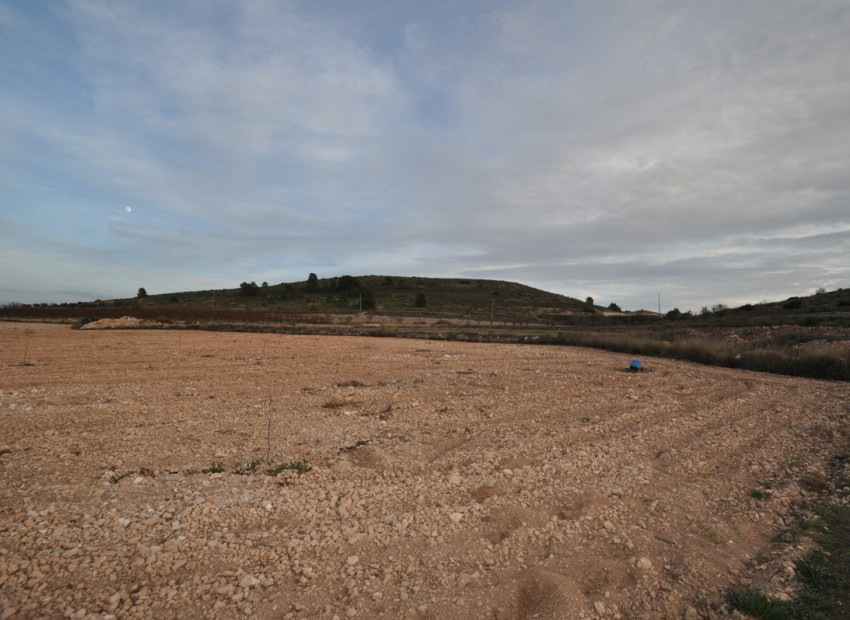A Vendre - Terre - Jumilla - Cañada del Trigo