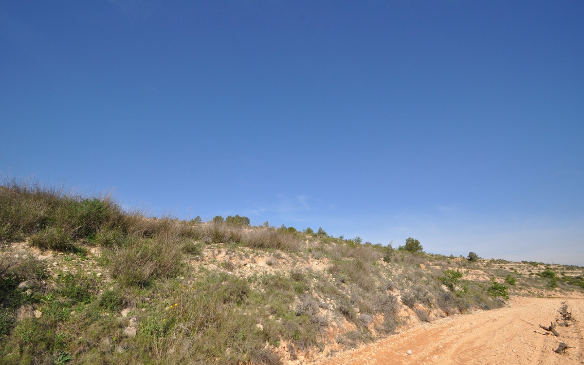 A Vendre - Terre - Jumilla - La Zarza