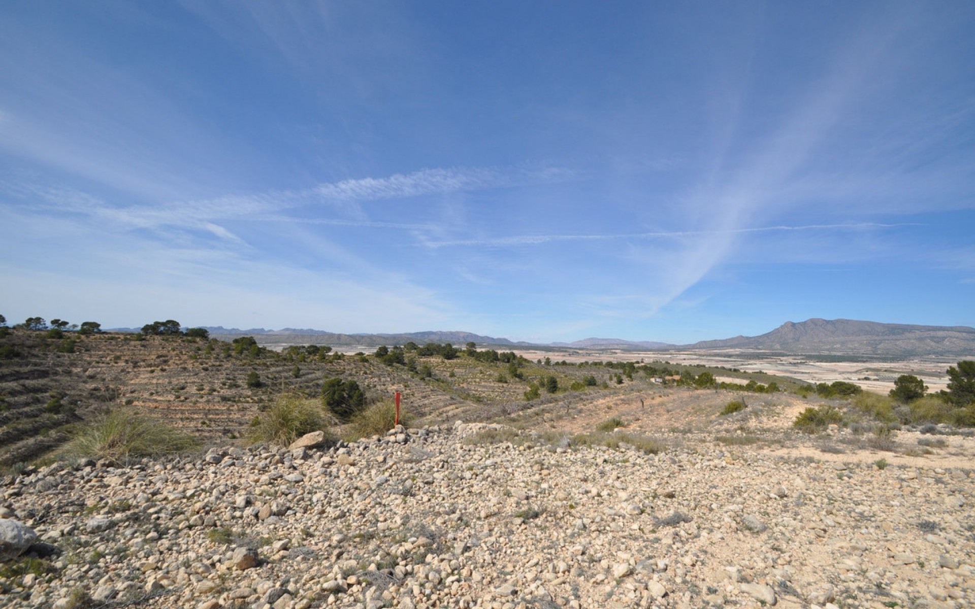 A Vendre - Terre - Jumilla - La Zarza