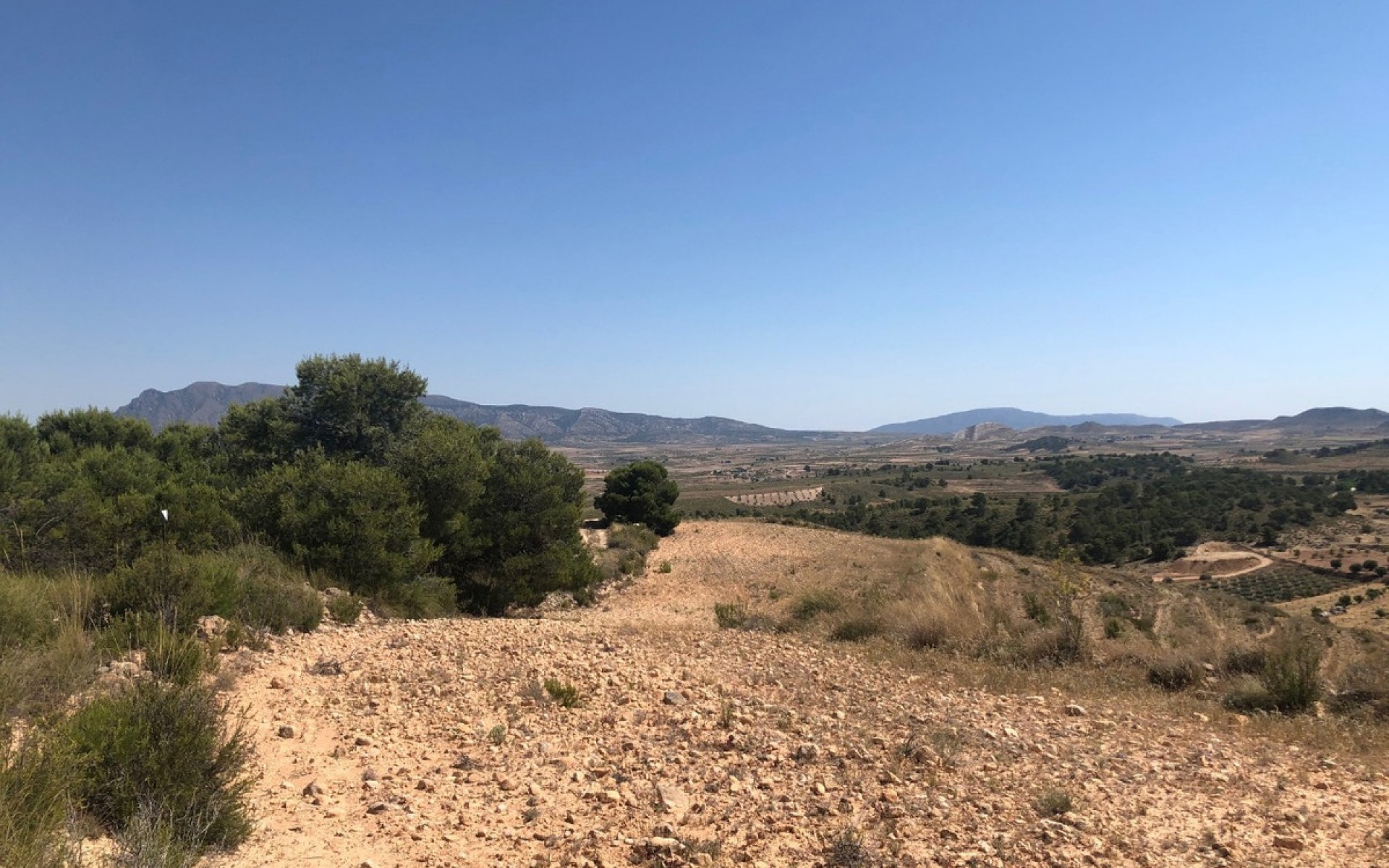 A Vendre - Terre - Jumilla - La Zarza