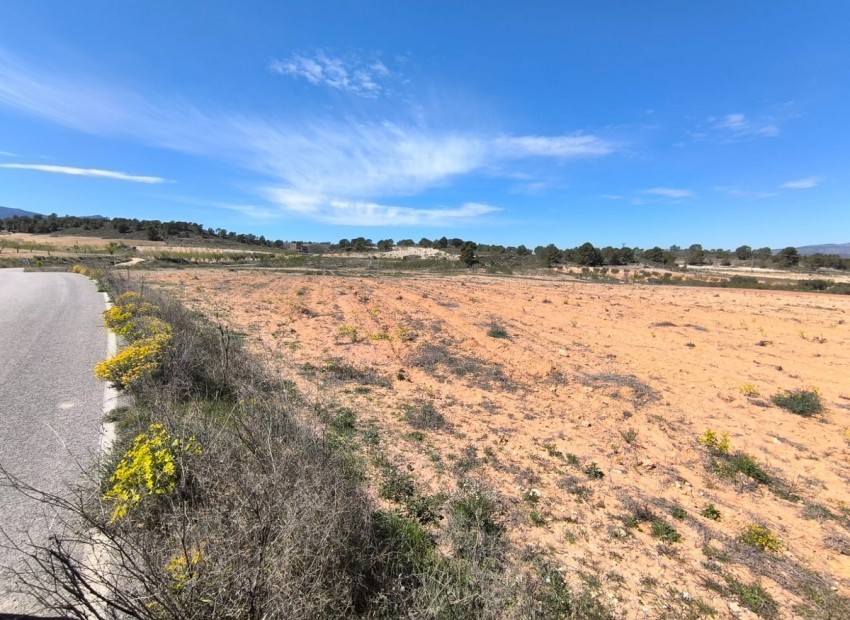 A Vendre - Terre - Jumilla - La Zarza