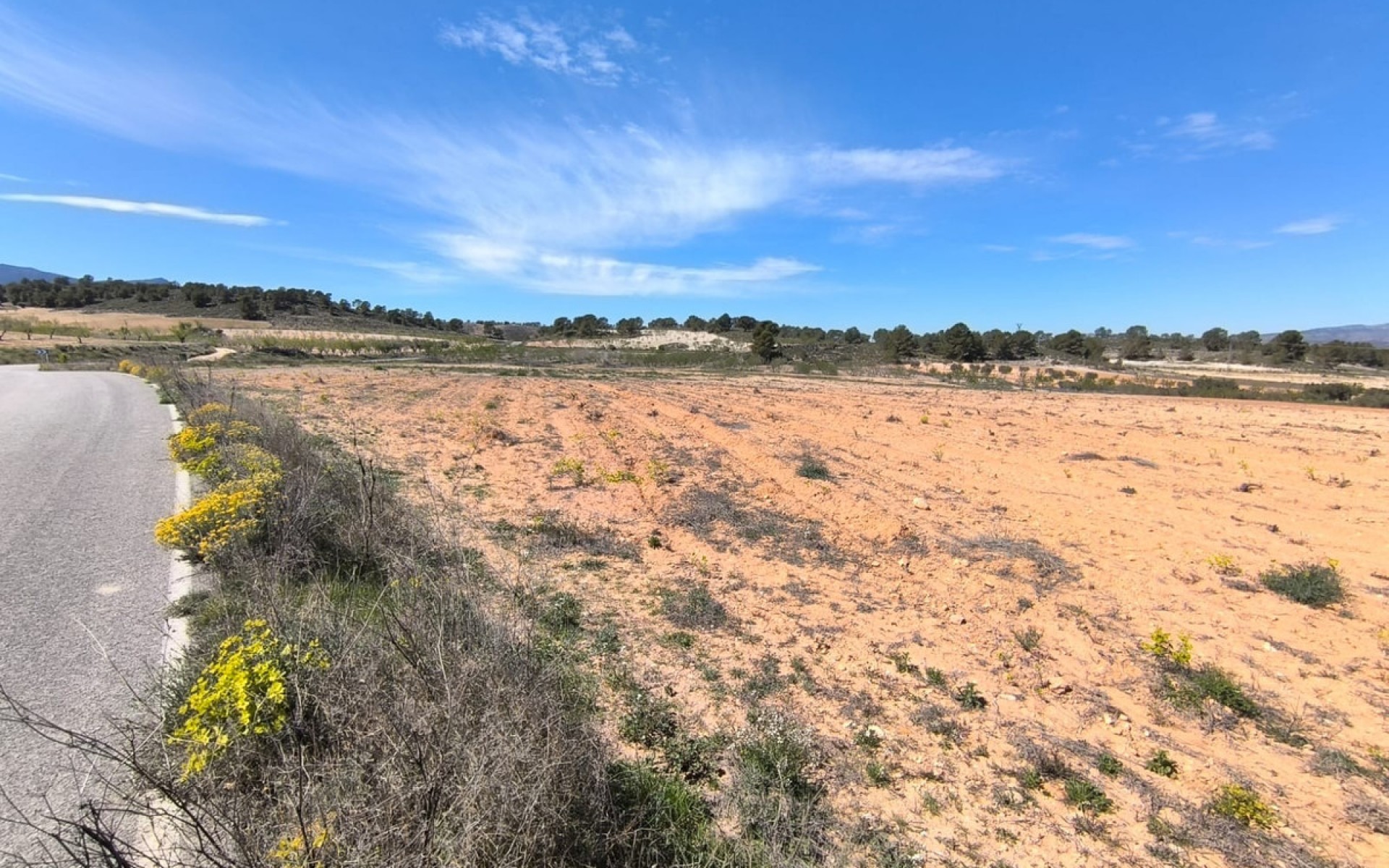 A Vendre - Terre - Jumilla - La Zarza