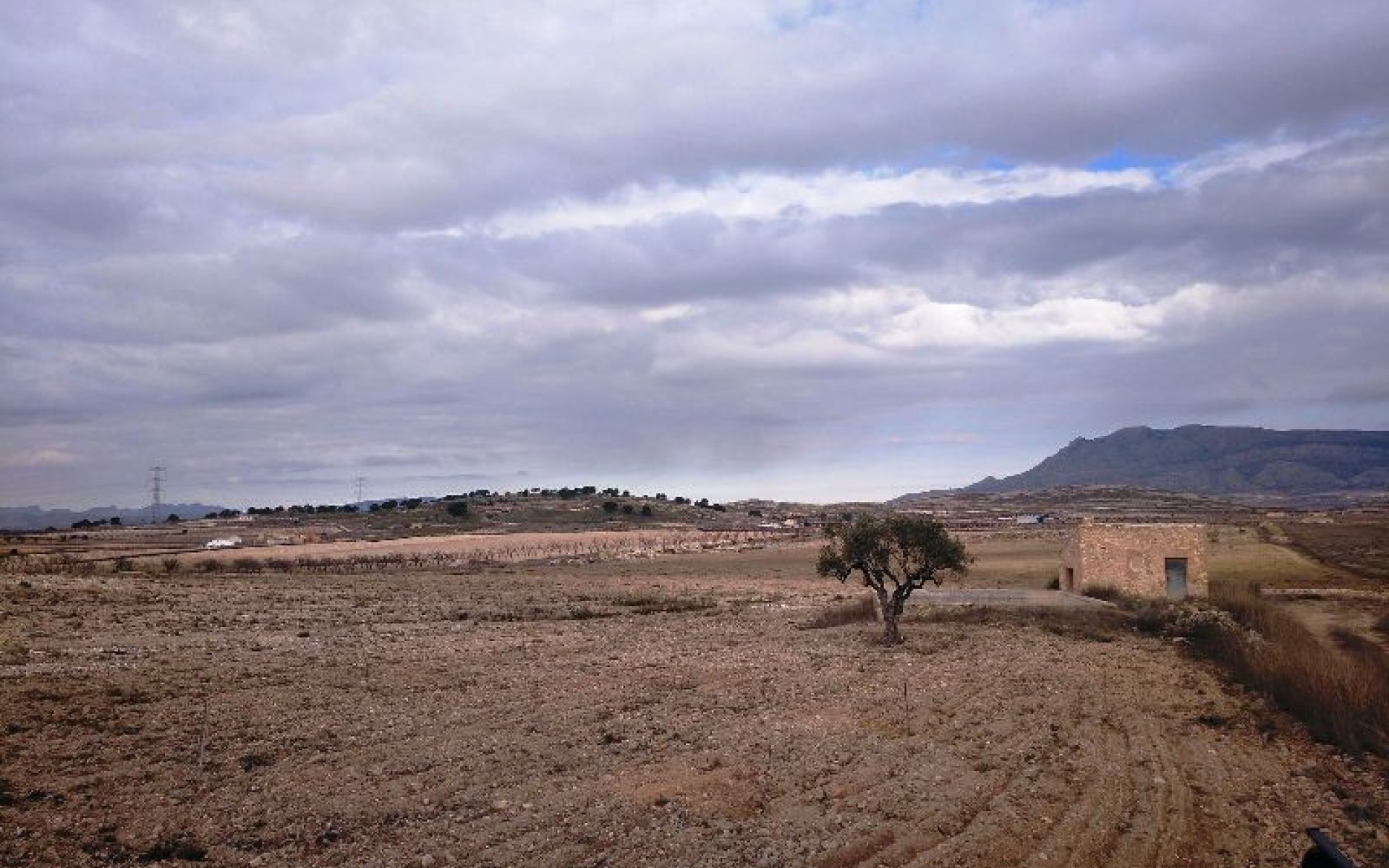 A Vendre - Terre - Jumilla - Torre del Rico