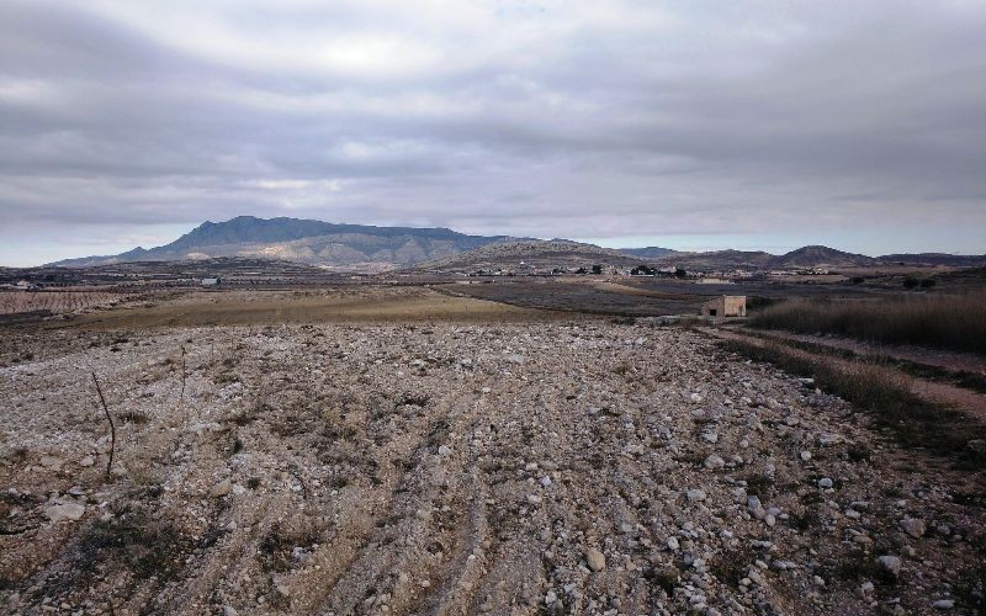 A Vendre - Terre - Jumilla - Torre del Rico