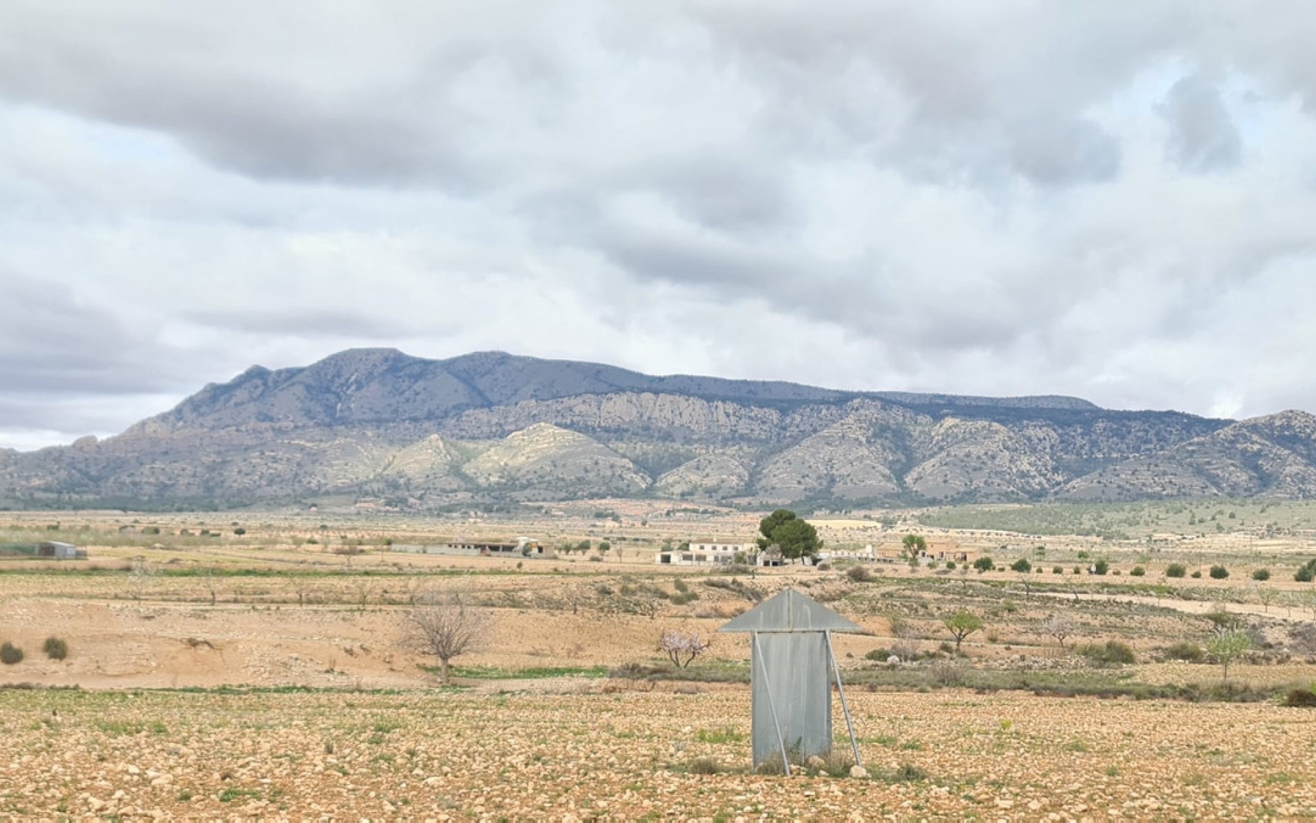 A Vendre - Terre - Jumilla - Torre del Rico