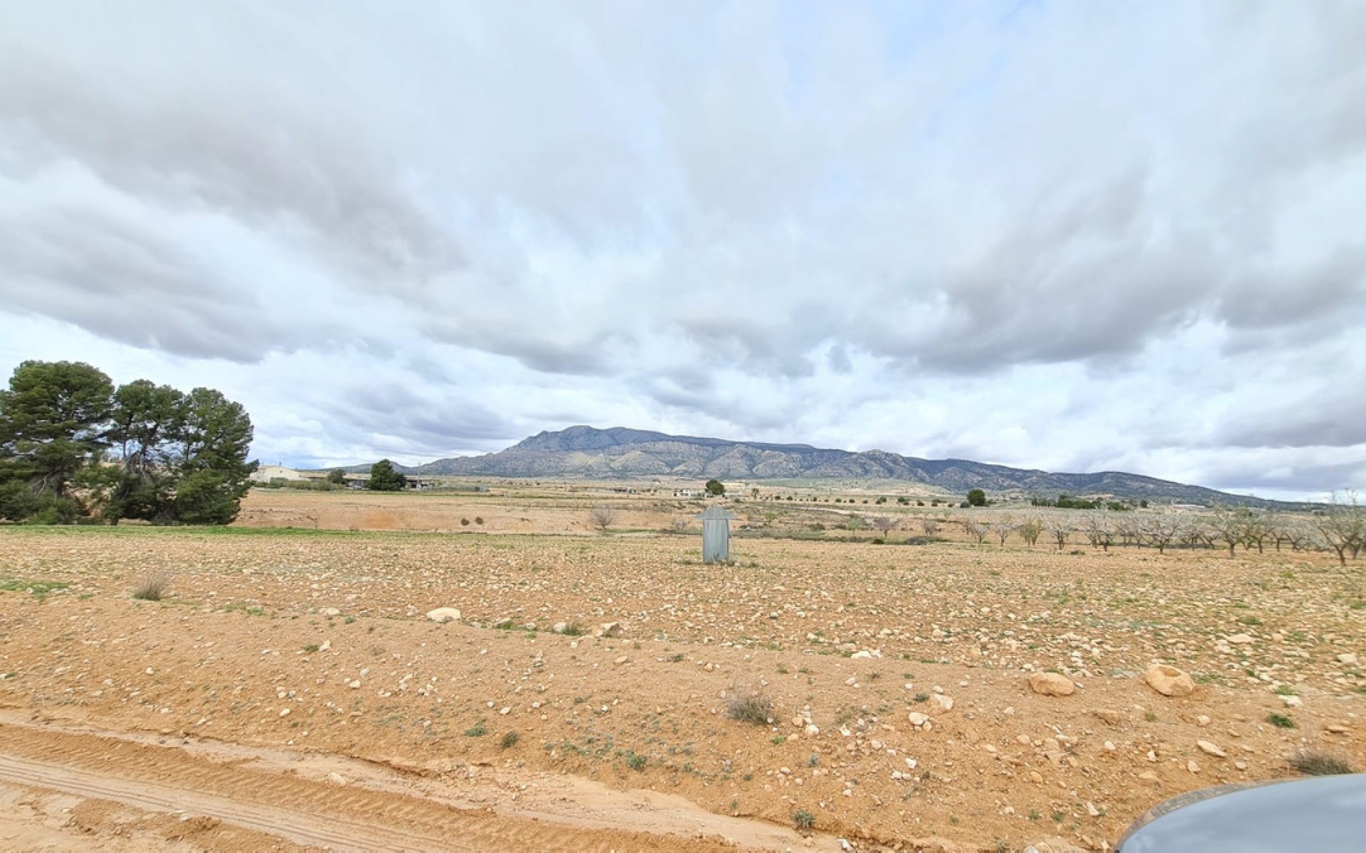 A Vendre - Terre - Jumilla - Torre del Rico