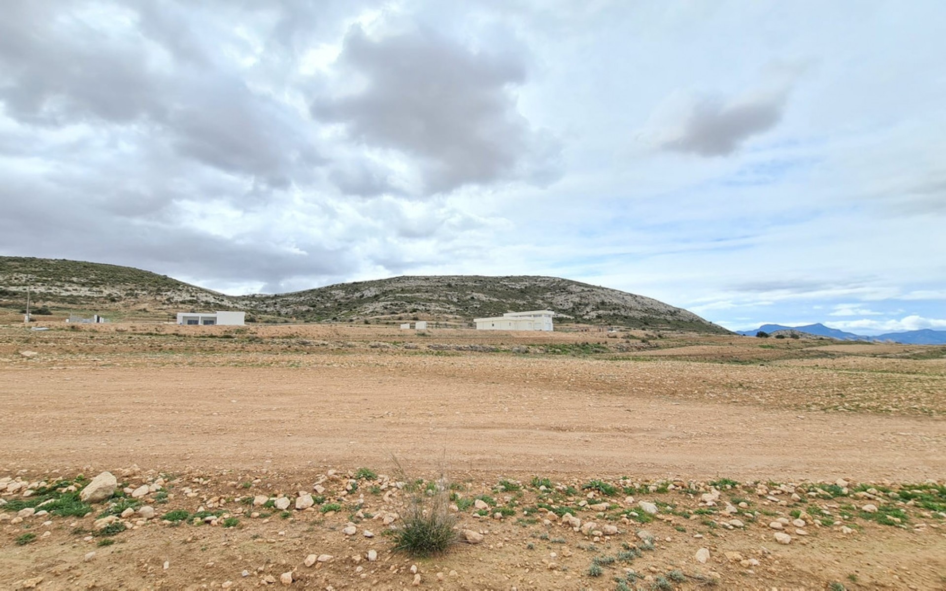 A Vendre - Terre - Jumilla - Torre del Rico