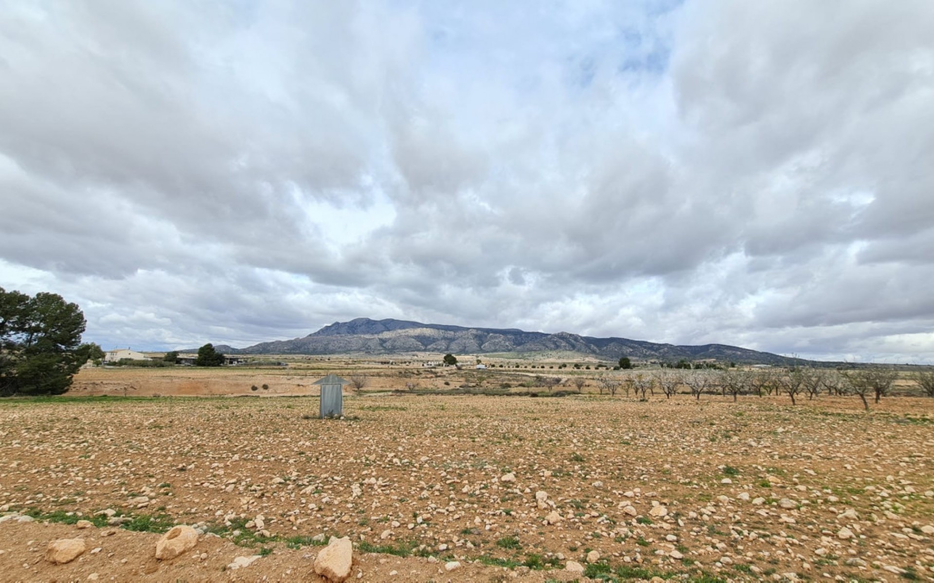 A Vendre - Terre - Jumilla - Torre del Rico