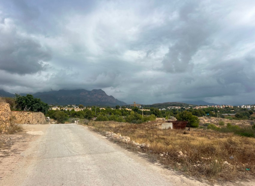 A Vendre - Terre - l'Alfas del Pi - L'Alfás del Pi Centro