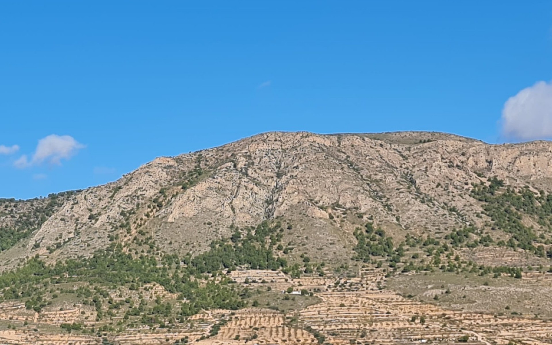 A Vendre - Terre - La Romana - La Romana Centro