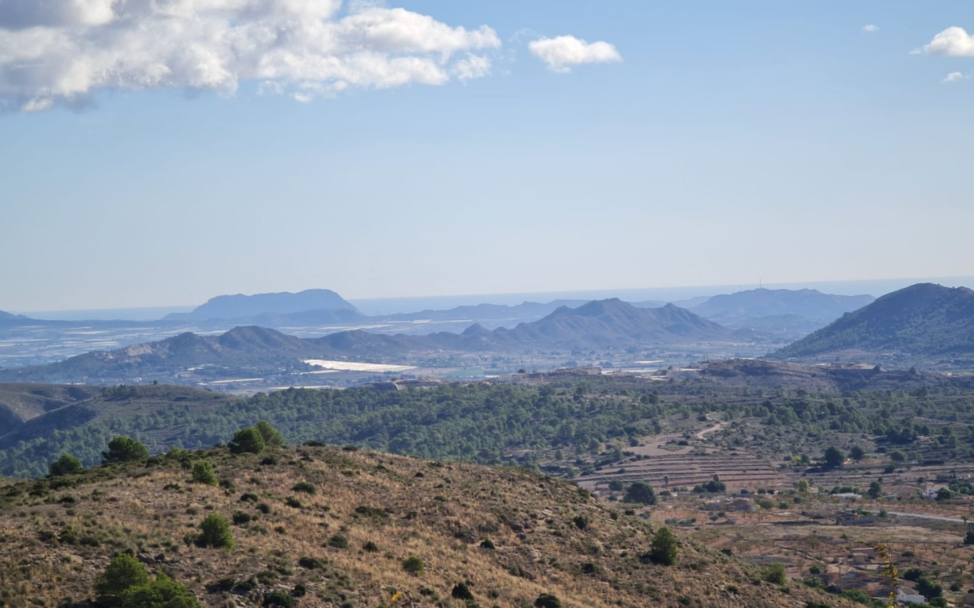A Vendre - Terre - La Romana - La Romana Centro