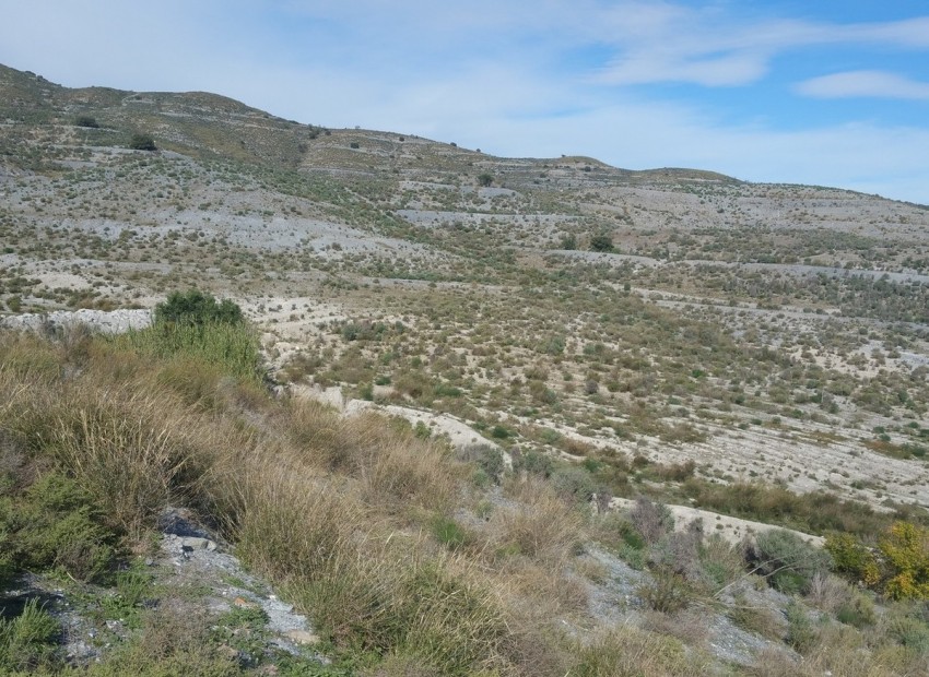 A Vendre - Terre - Lorca - Lorca Centro
