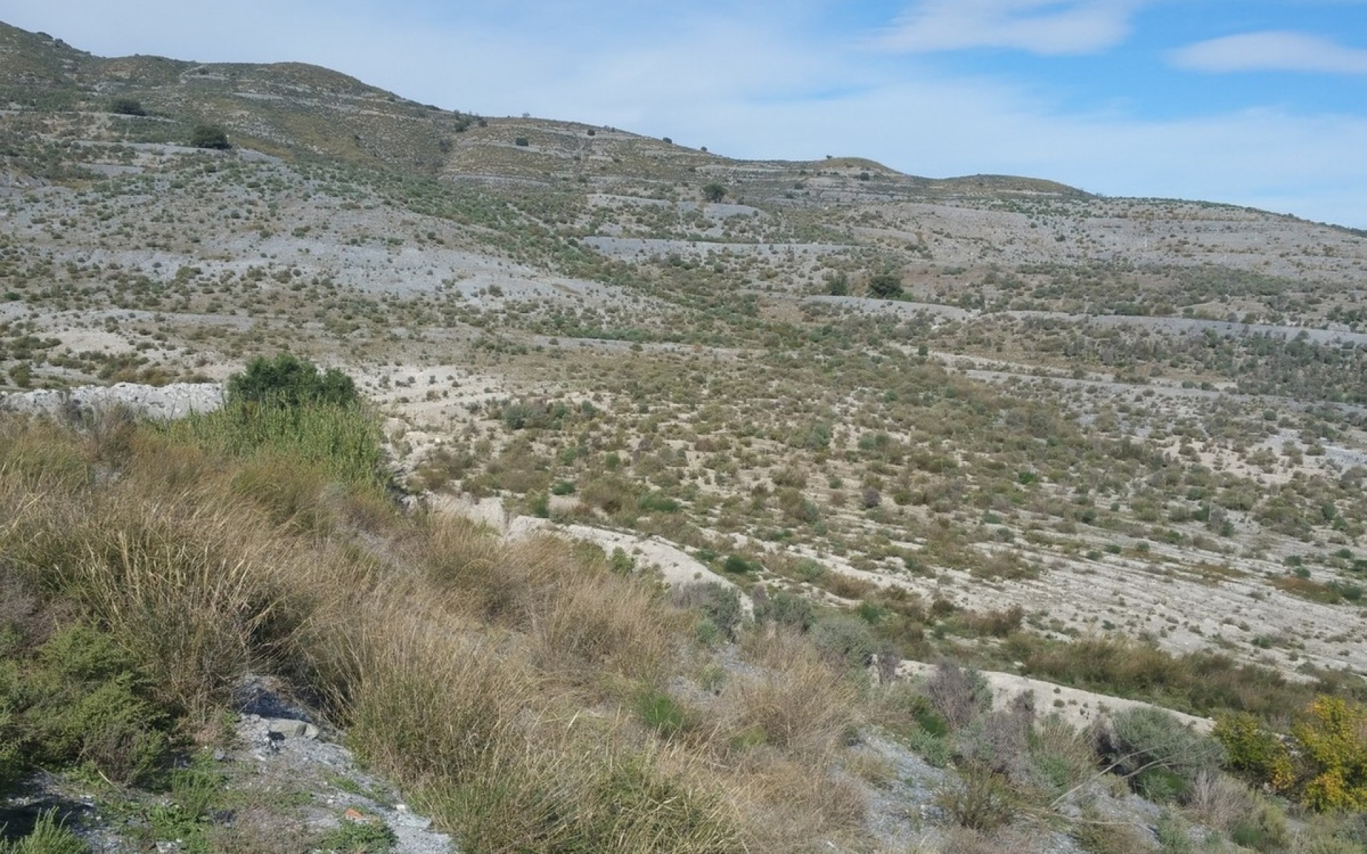 A Vendre - Terre - Lorca - Lorca Centro