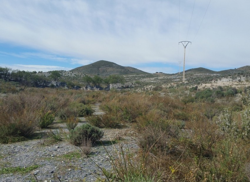 A Vendre - Terre - Lorca - Lorca Centro