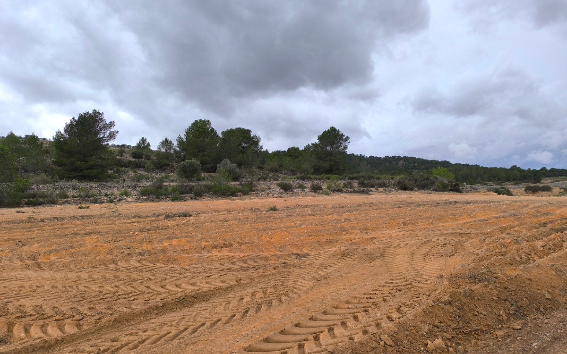 A Vendre - Terre - Monóvar - Monòver - Chinorlet