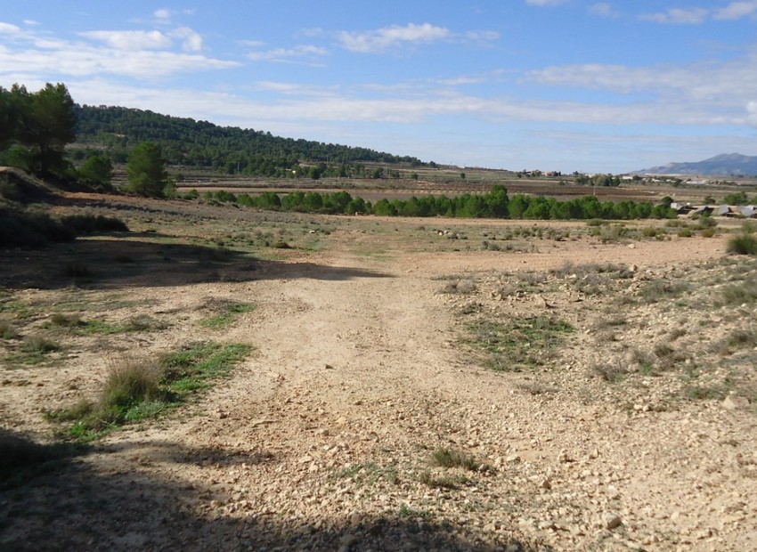 A Vendre - Terre - Monóvar - Monòver - Monóvar - Monòver Centro