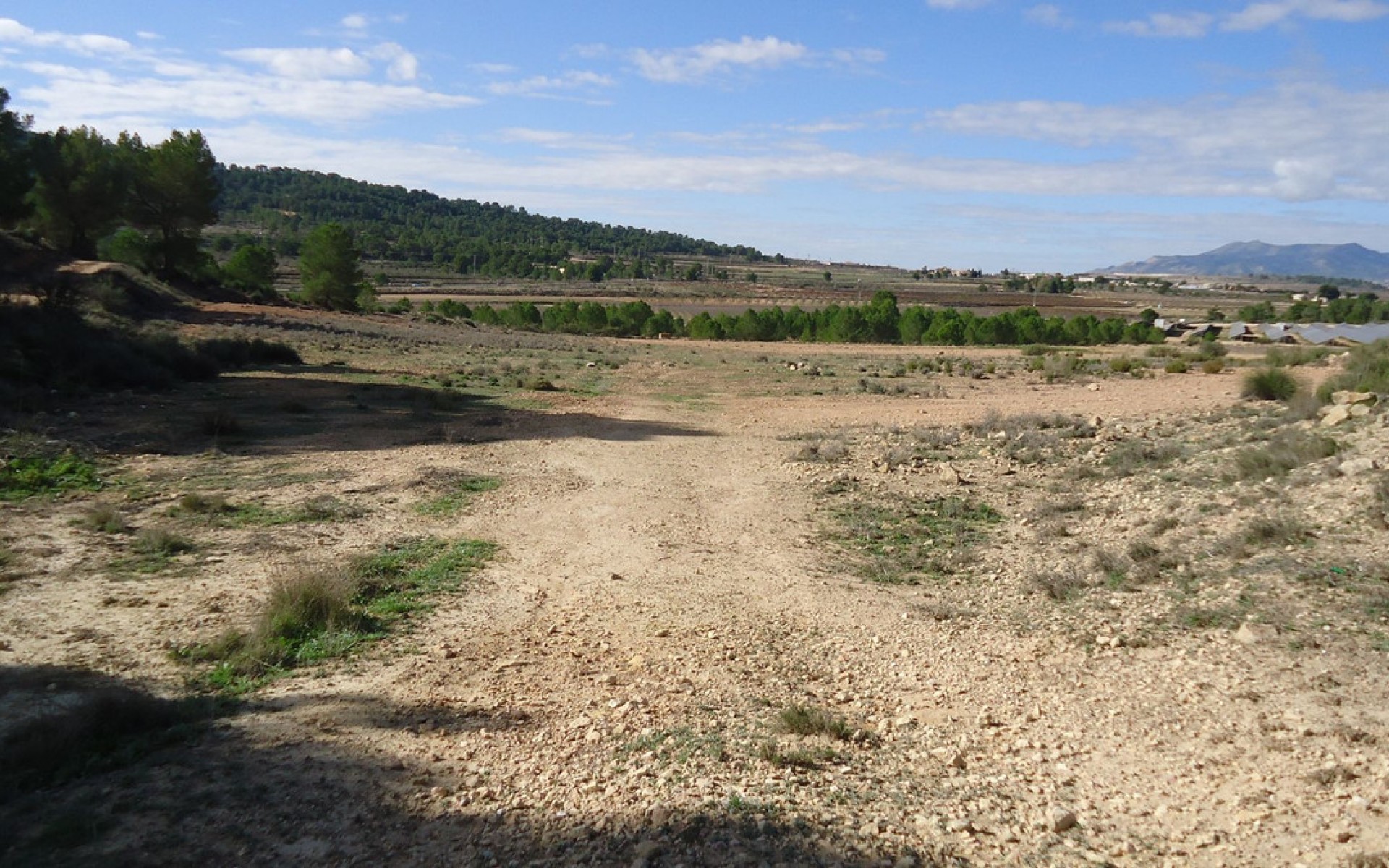 A Vendre - Terre - Monóvar - Monòver - Monóvar - Monòver Centro