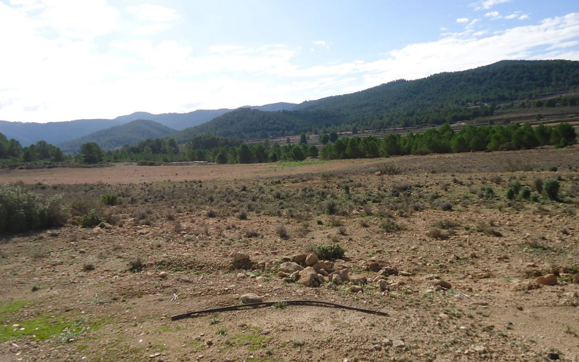 A Vendre - Terre - Monóvar - Monòver - Monóvar - Monòver Centro