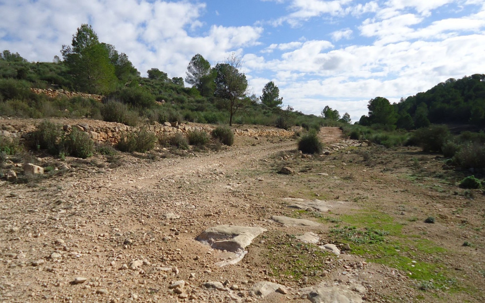 A Vendre - Terre - Monóvar - Monòver - Monóvar - Monòver Centro