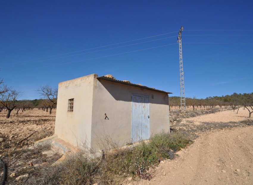 A Vendre - Terre - Monóvar - Monòver - Monóvar - Monòver Centro
