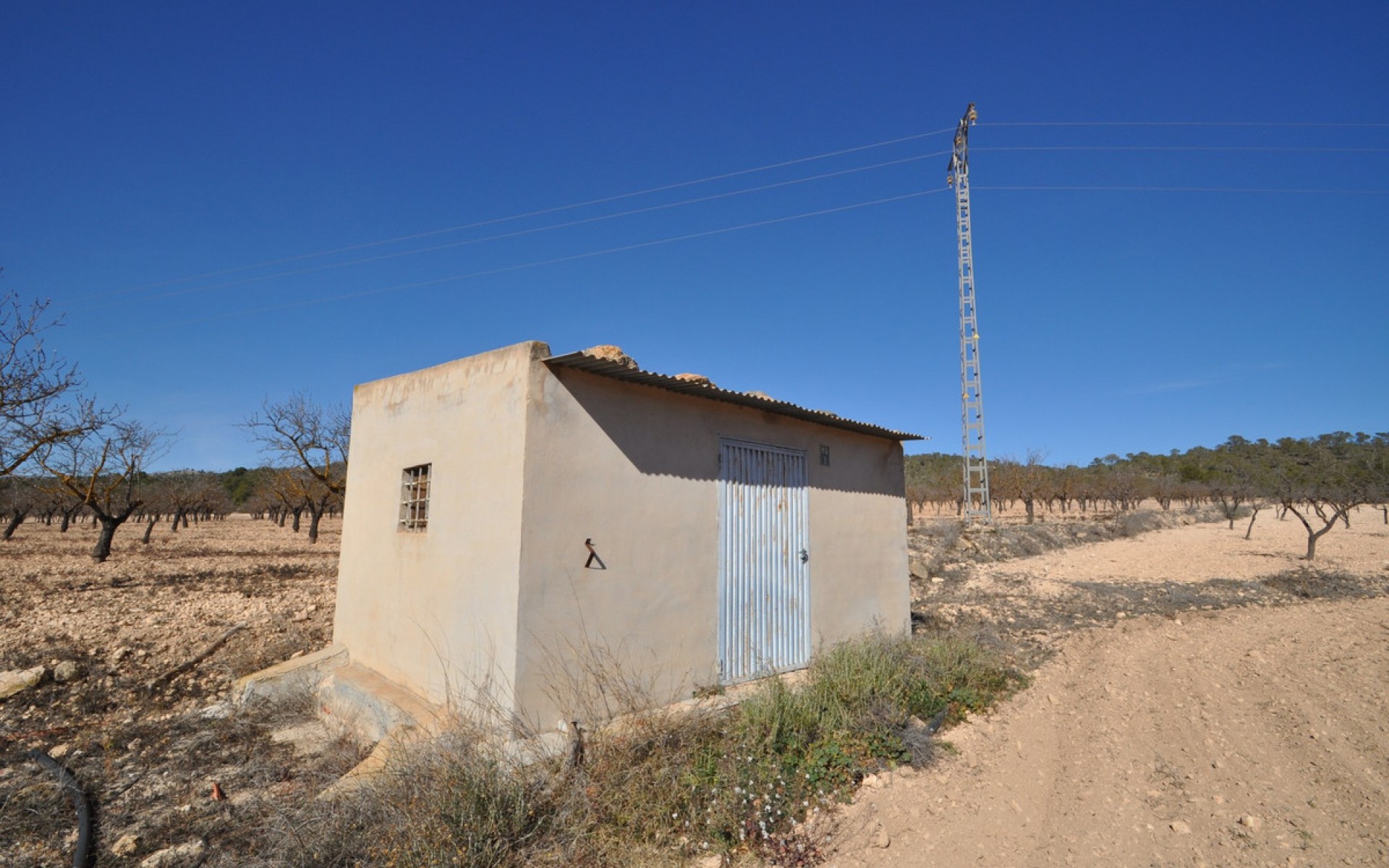A Vendre - Terre - Monóvar - Monòver - Monóvar - Monòver Centro